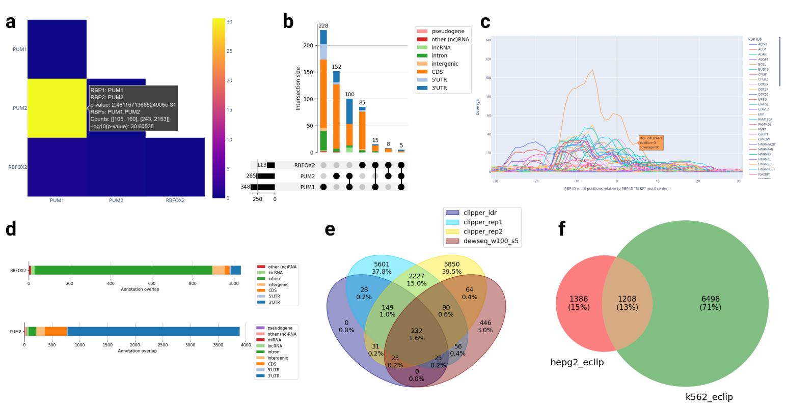 RBPBench example visualizations